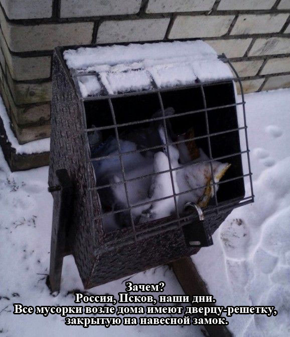 Порция картинок
