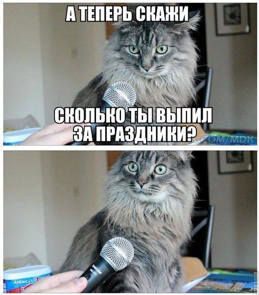 Порция картинок
