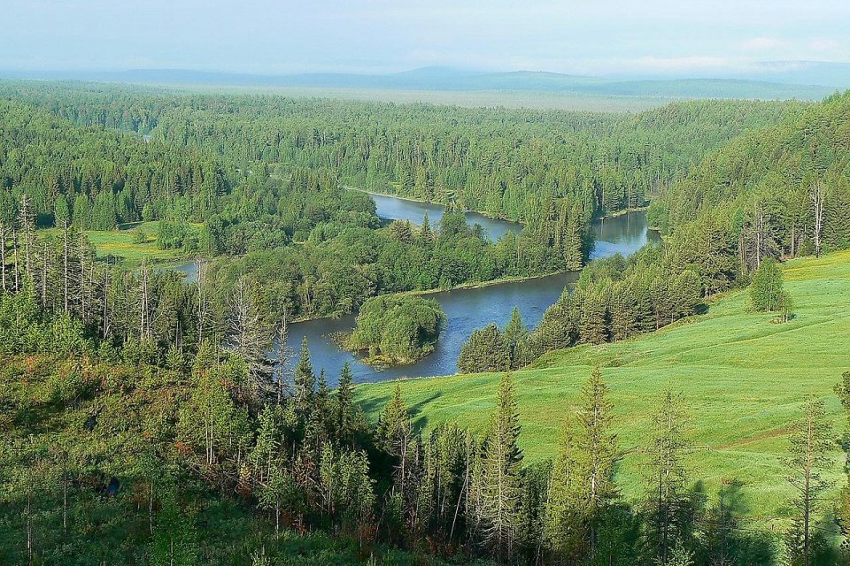 Самые большие леса Самые большие леса