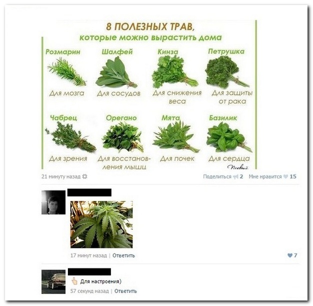 Смешные комментарии из социальных сетей