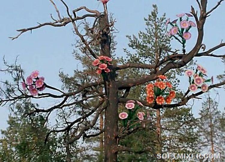 «Любовь и голуби»: детали, факты и редкие кадры из фильма