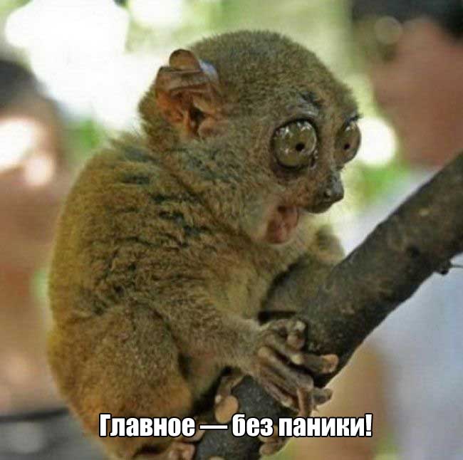 После долгих выходных