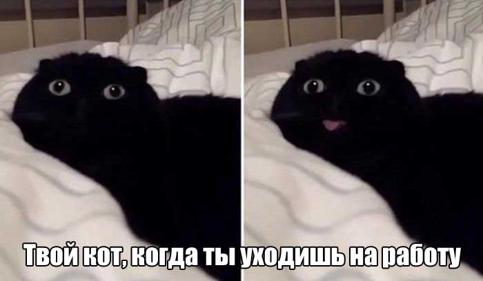 После долгих выходных
