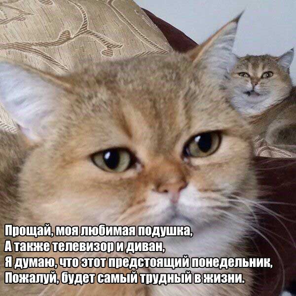 После долгих выходных