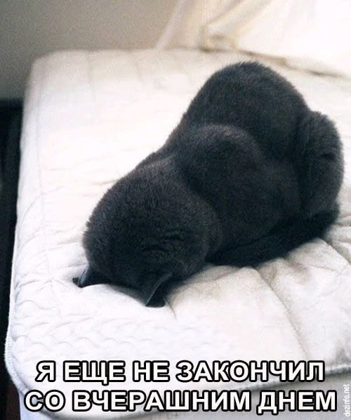 После долгих выходных