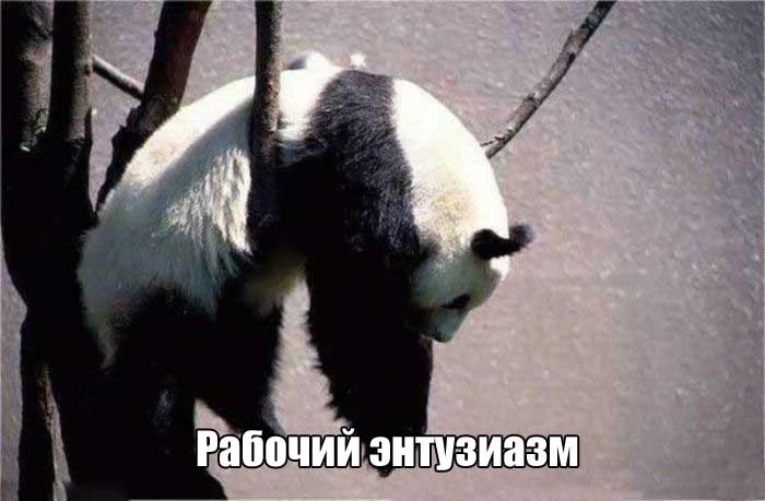 После долгих выходных