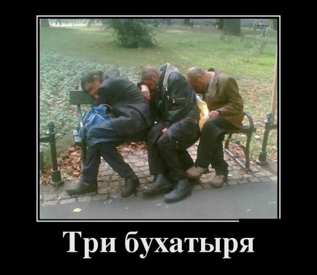 Демотиваторы