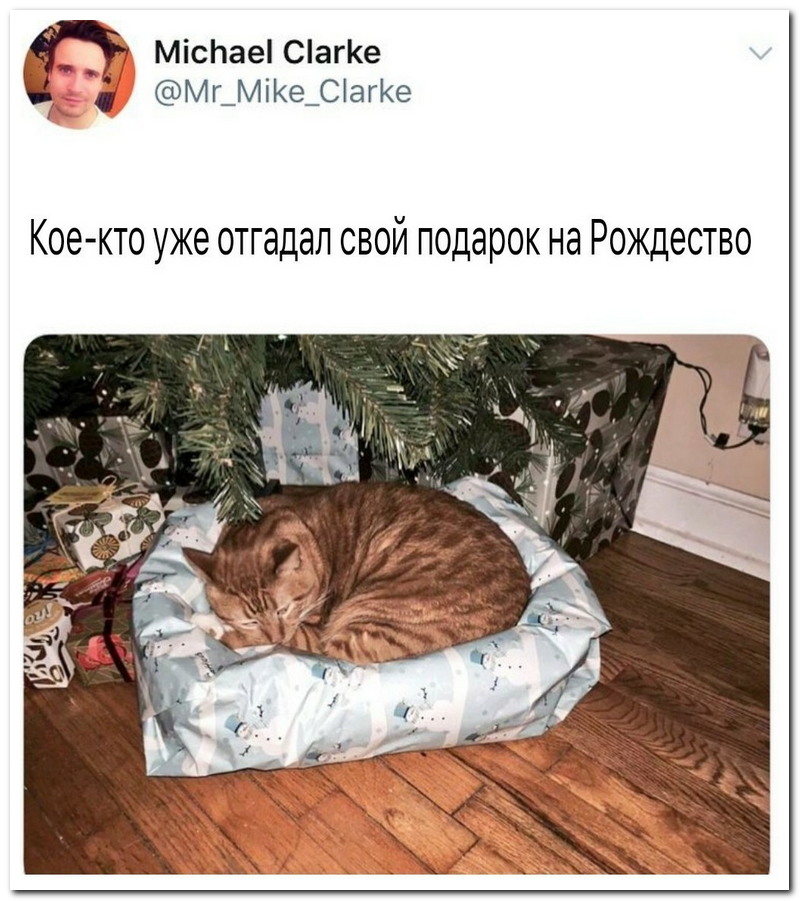 Забавные комментарии из социальных сетей