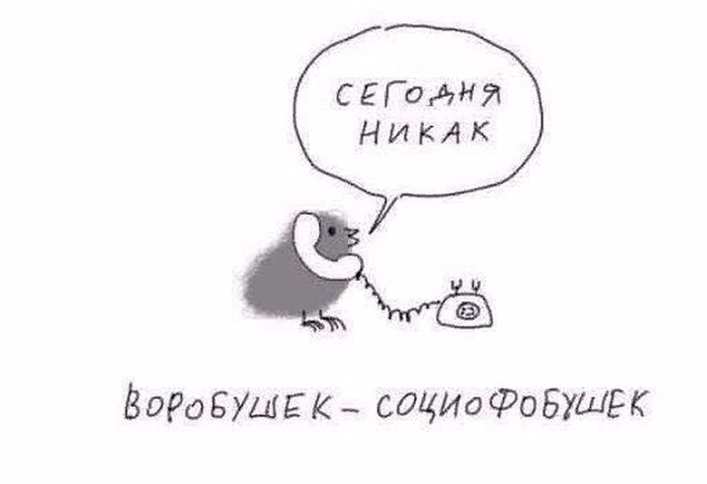 Прикольные картинки