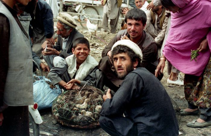 Афганистан в 1995 году