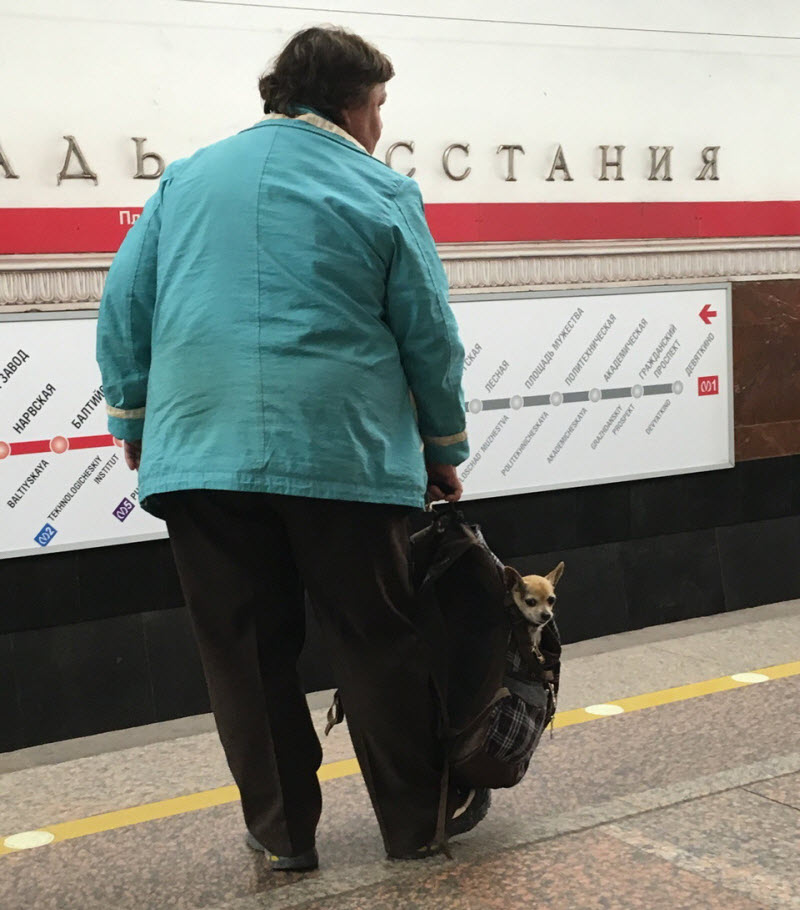 Модники из метрополитена