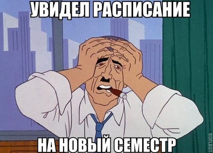 Порция картинок