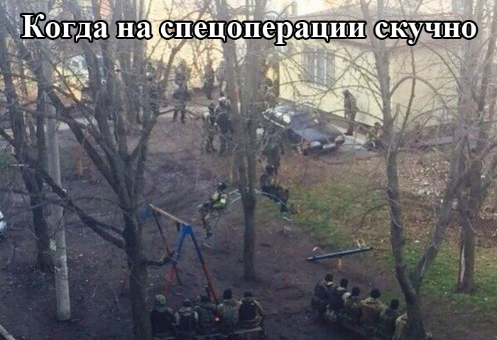 Порция картинок