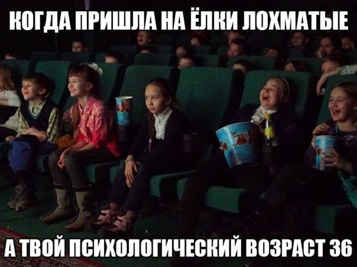 Порция картинок