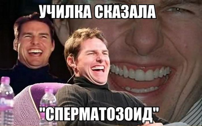 Порция картинок