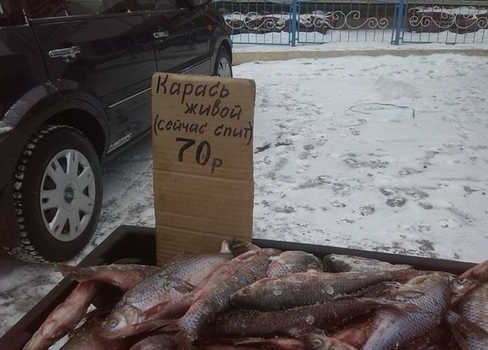Порция картинок
