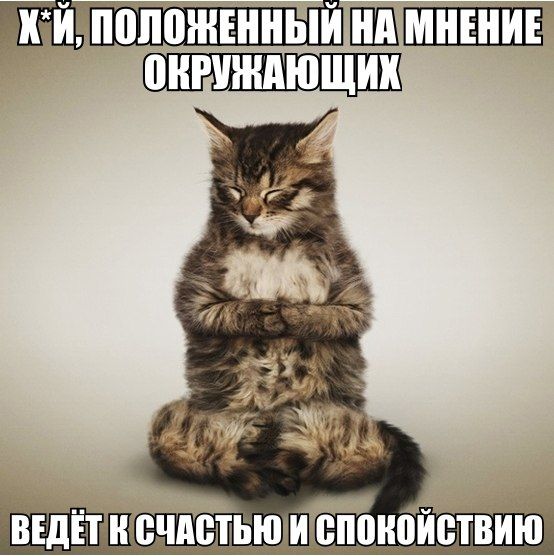 Порция картинок