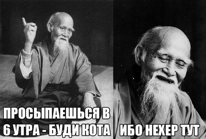 Порция картинок