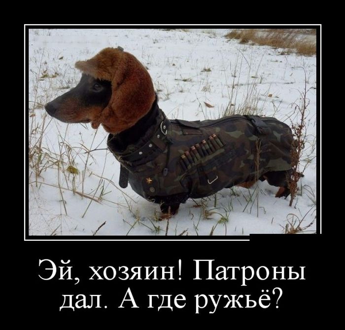 Демотиваторы