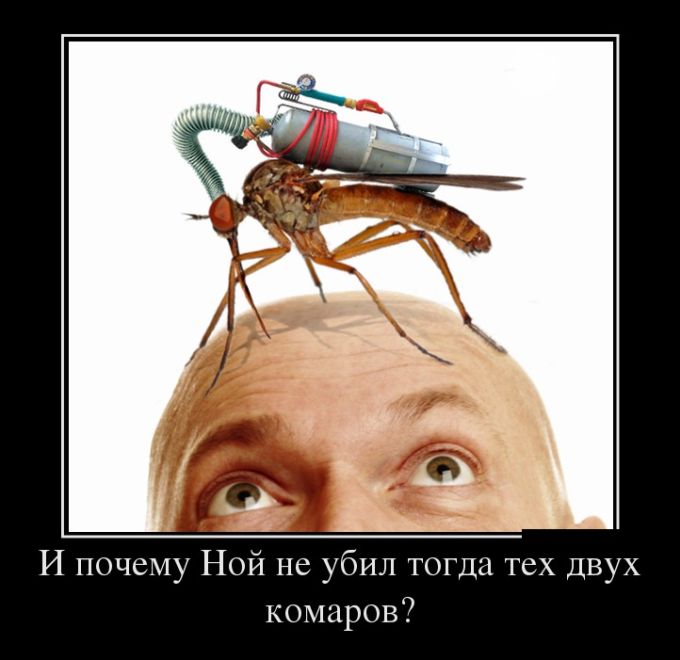 Демотиваторы