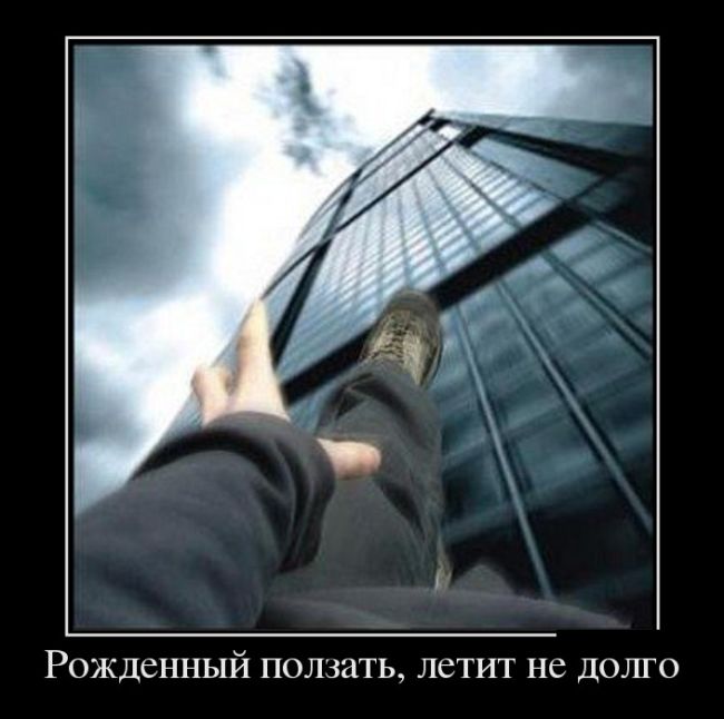 Демотиваторы