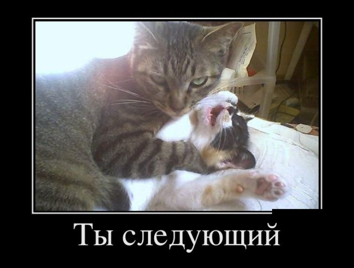 Демотиваторы