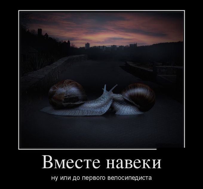 Демотиваторы