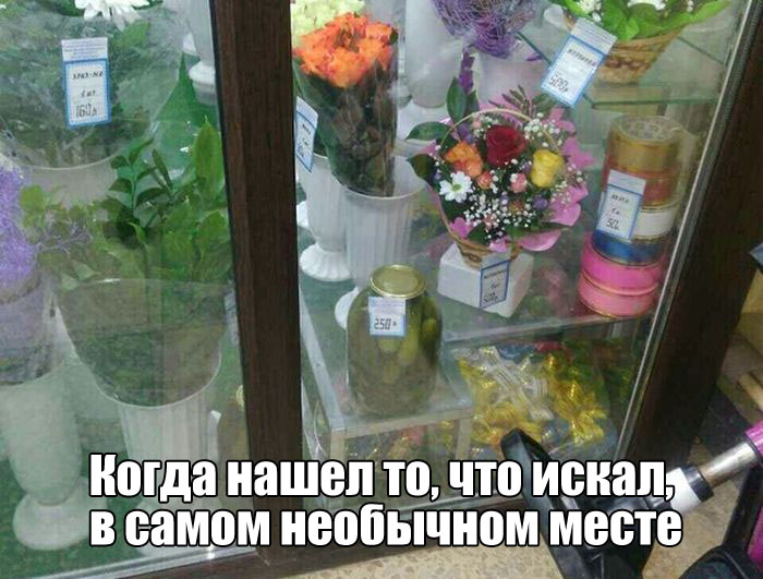 Прикольные картинки