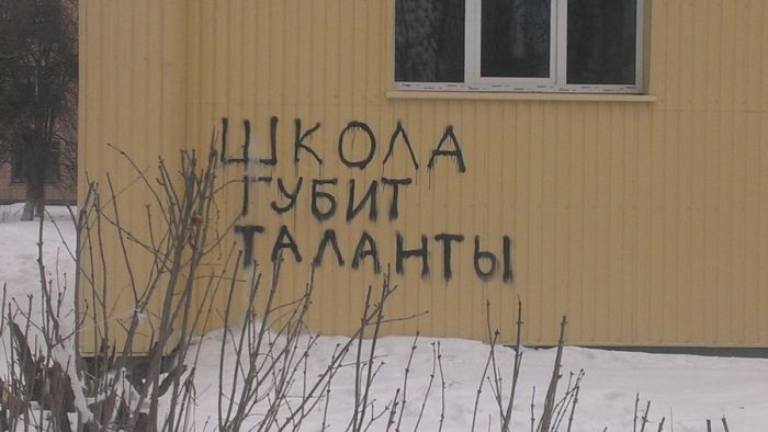 Прикольные картинки