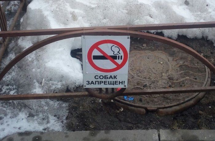Прикольные картинки