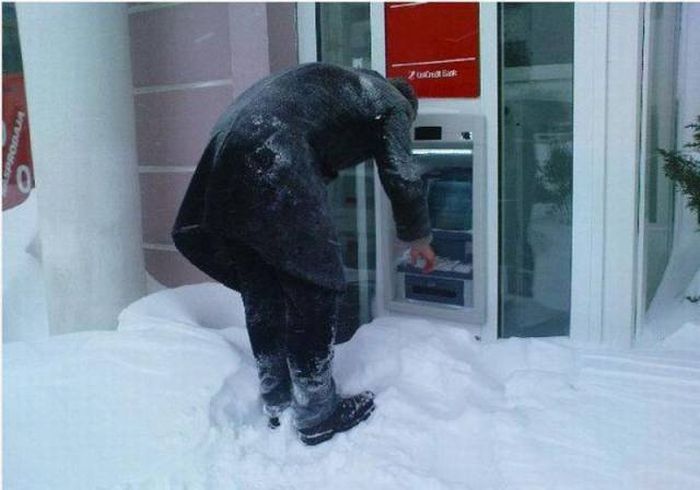 Прикольные картинки