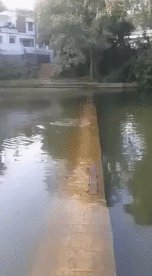Дерьмо случается