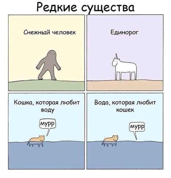 Смешные комиксы