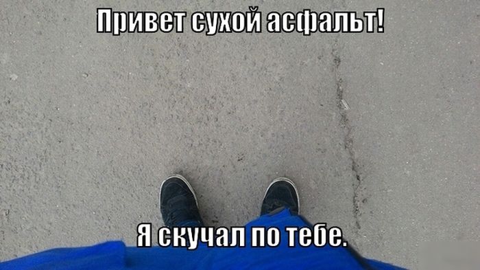 Порция картинок