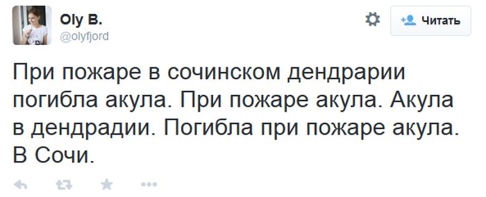 Порция картинок