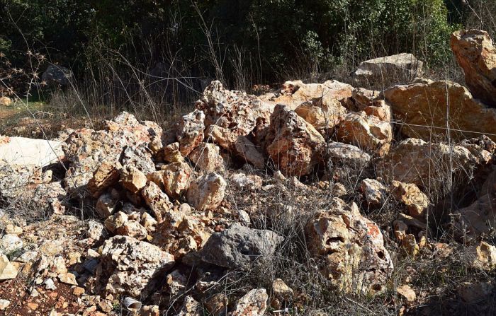 Искусно замаскированные мины Искусно замаскированные мины