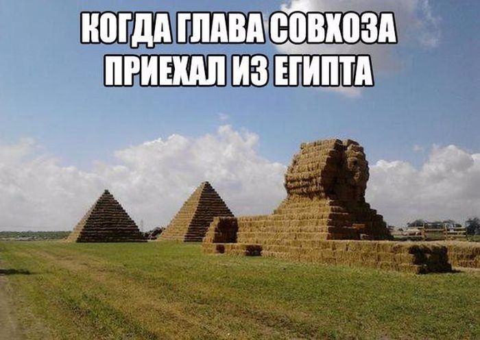 Прикольные картинки