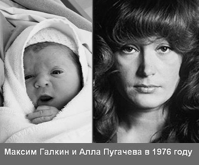 Прикольные картинки