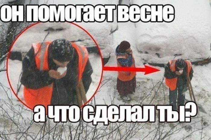 Прикольные картинки