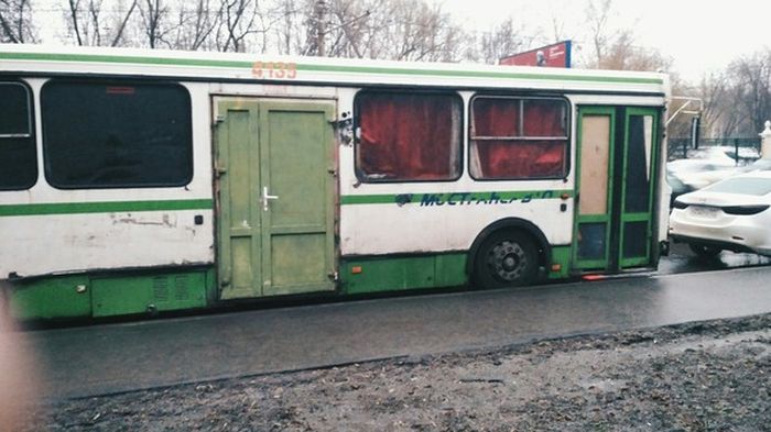 Прикольные картинки
