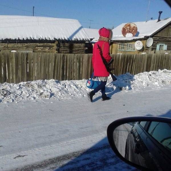 Прикольные картинки