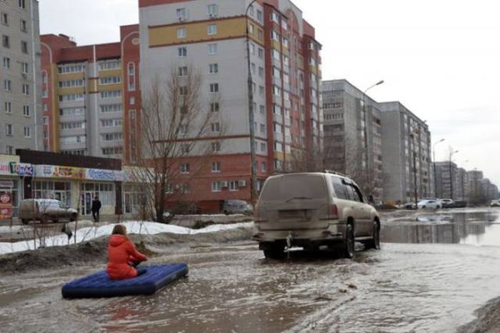 Прикольные картинки