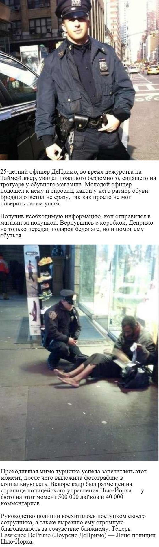 Прикольные картинки (63 фото)