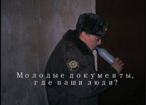 Прикольные картинки (63 фото)
