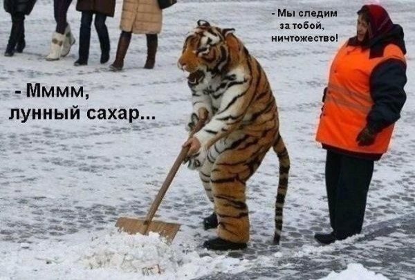 Прикольные картинки (63 фото)