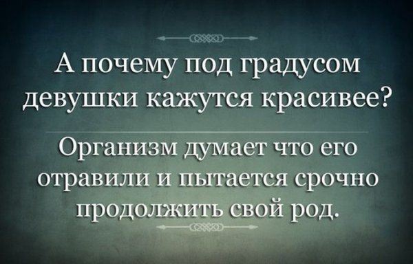 Прикольные картинки (63 фото)