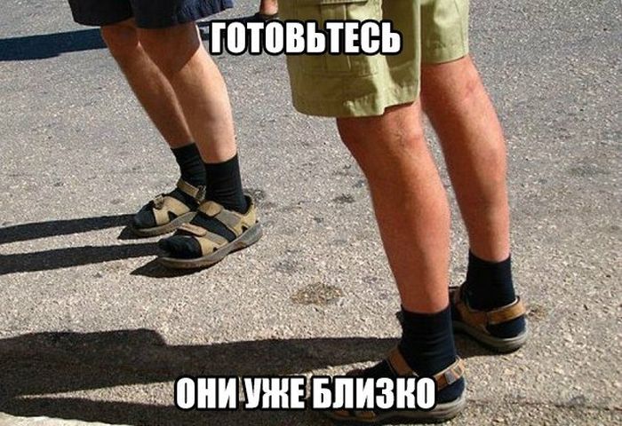 Прикольные картинки (63 фото)