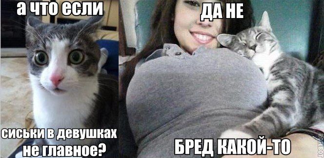 Прикольные картинки (63 фото)