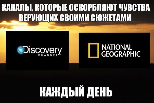 Прикольные картинки (63 фото)