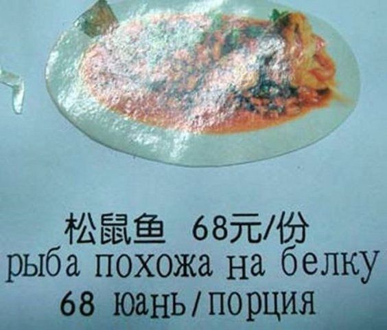 Прикольные картинки (63 фото)